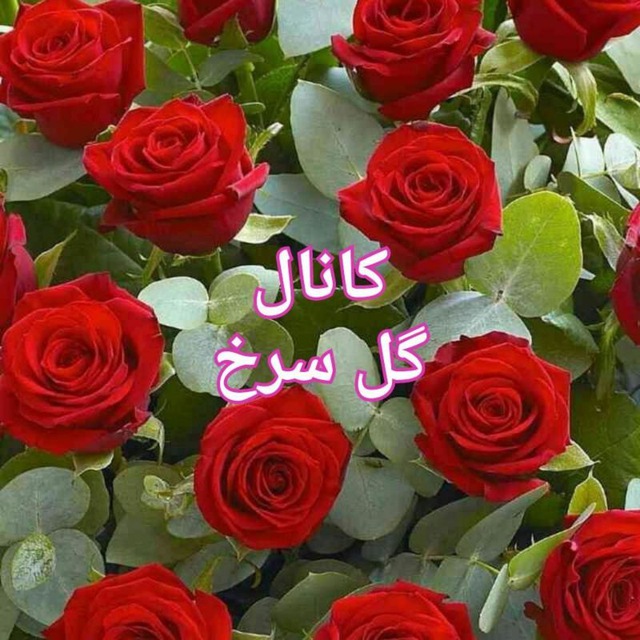 کانال گل سرخ