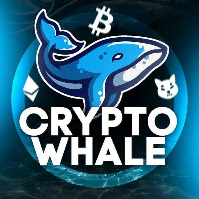 کانال WHALE CRYPTO | وال کریپتو