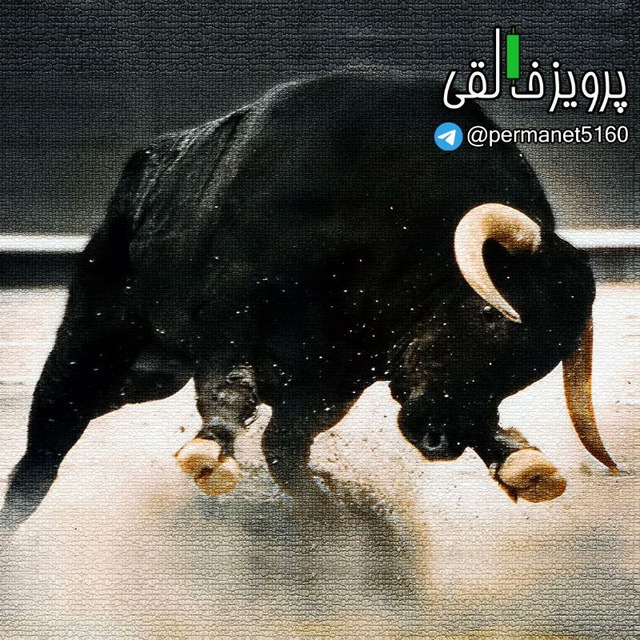 کانال پرویز خالقی