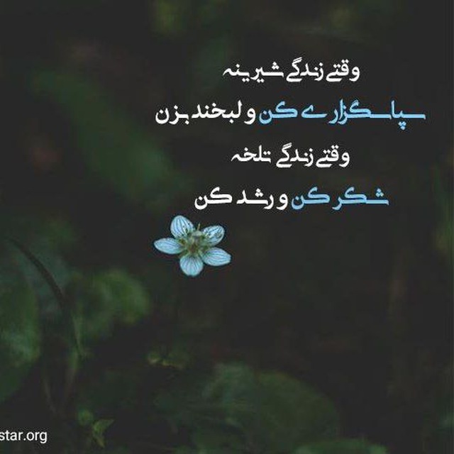 کانال چله شکرگزاری | قانون جذب| انگیزشی