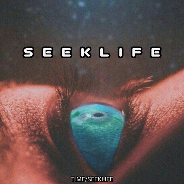 کانال سیک لایف| Seek Life