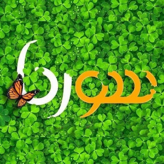 کانال سورنا | SORENAE