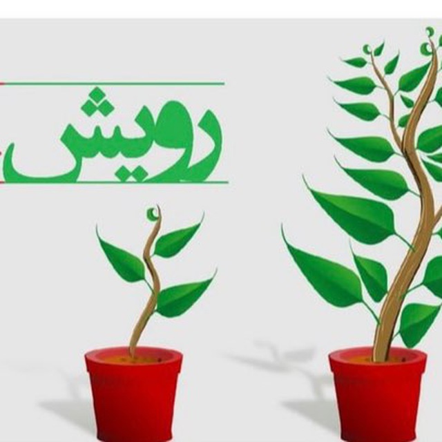 کانال رویش
