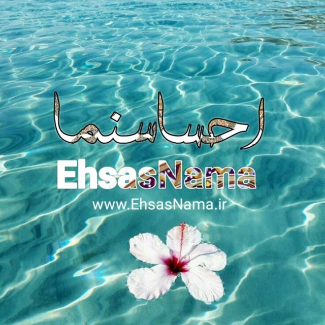 کانال كانال موزيك ايراني خارجي |جديد قديمي 