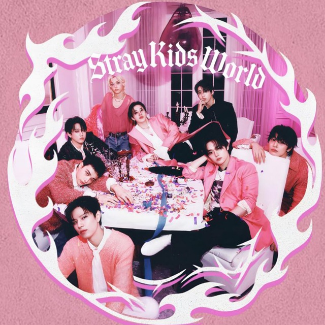 کانال STRAY KIDS WORLD | دنیای استری کیدز 