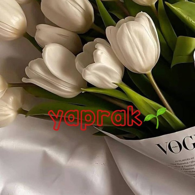 کانال 𝐘𝐚𝐩𝐫𝐚𝐤_𝐓𝐮𝐫𝐤𝐦 | یاپراک ترکمن🌱