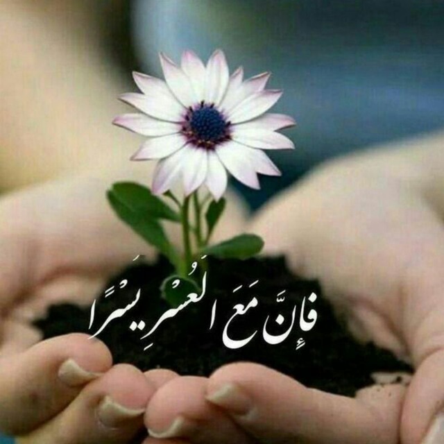 کانال دعانویسی و طلسمات| سیدهاشمی