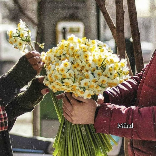 کانال عکس کمیاب پروفایل