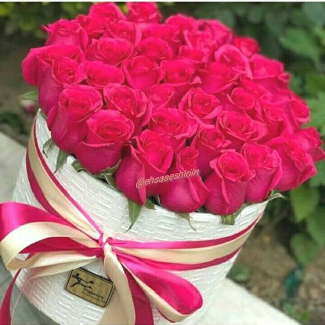 کانال 💝 احساس شیرین💝