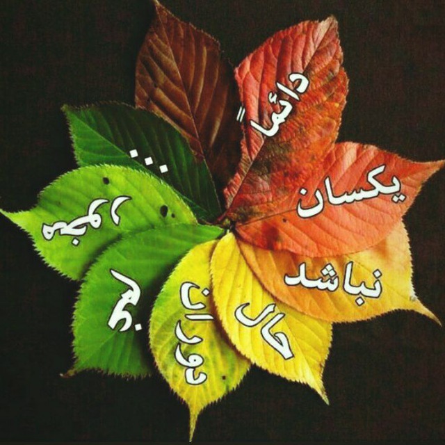 کانال کلمات تاثیرگذار