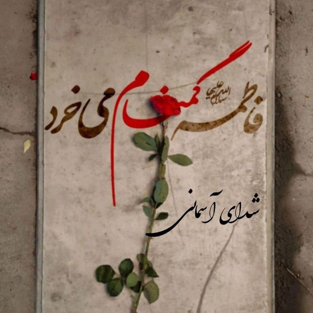 کانال شهــدای آســمانی 