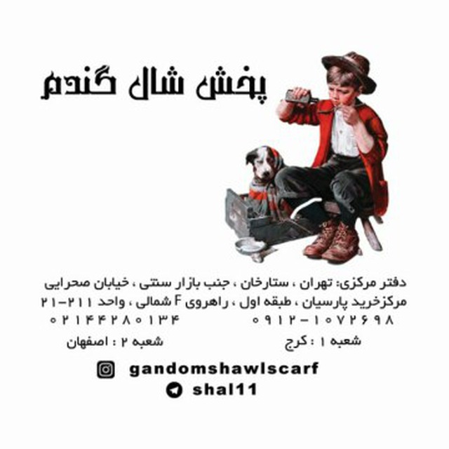 کانال پخش شال گندم