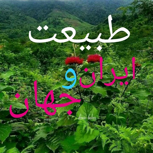 کانال طبیعت ایران و جهان